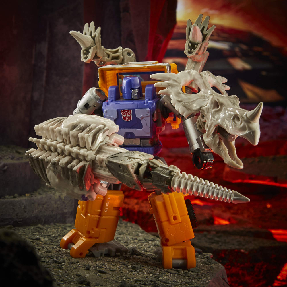 Ractonite lower jaw articulation enables roaring poses