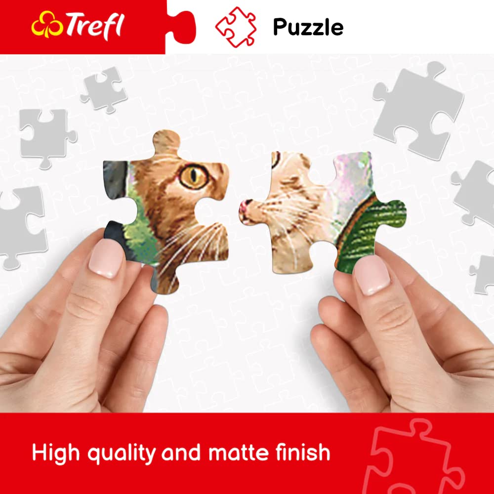 Trefl puzzle box artwork Lake Oeschinen detail, bright colors and durable print for long-term enjoyment