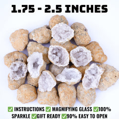TruEnergy geodes discovery box top shows organized contents for classrooms.