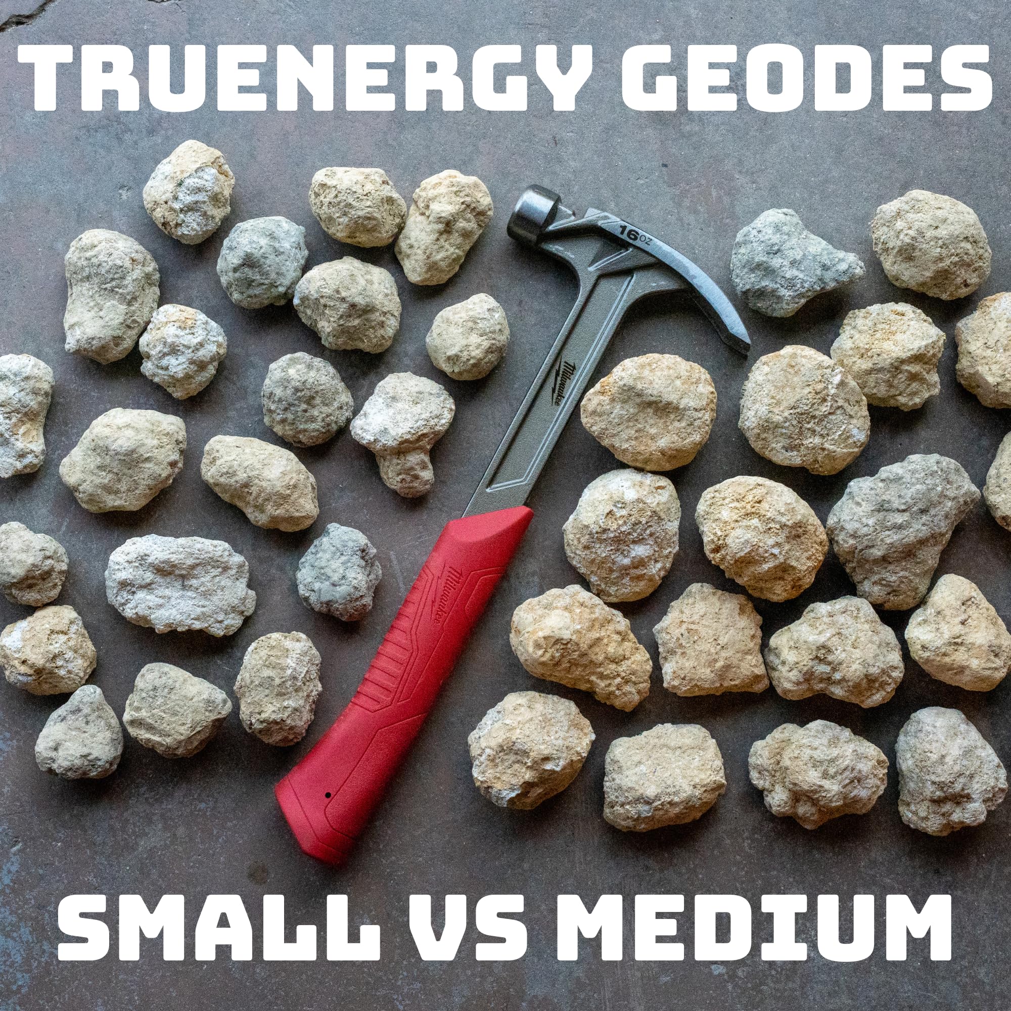 TruEnergy learning guide provides geology basics for curious young minds.