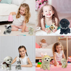 TSFGDYL perfect gift for all ages, packaged for birthdays or holidays.