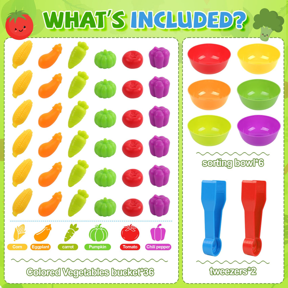 TSYAN rainbow vegetables encouraging color recognition through hands-on play.