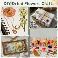 TTUGTTUG Instruction manual guides beginners toward confident DIY projects.