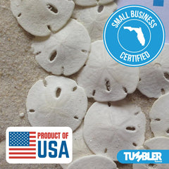Tumbler Home sand dollars craft ideas close-up for DIY projects.