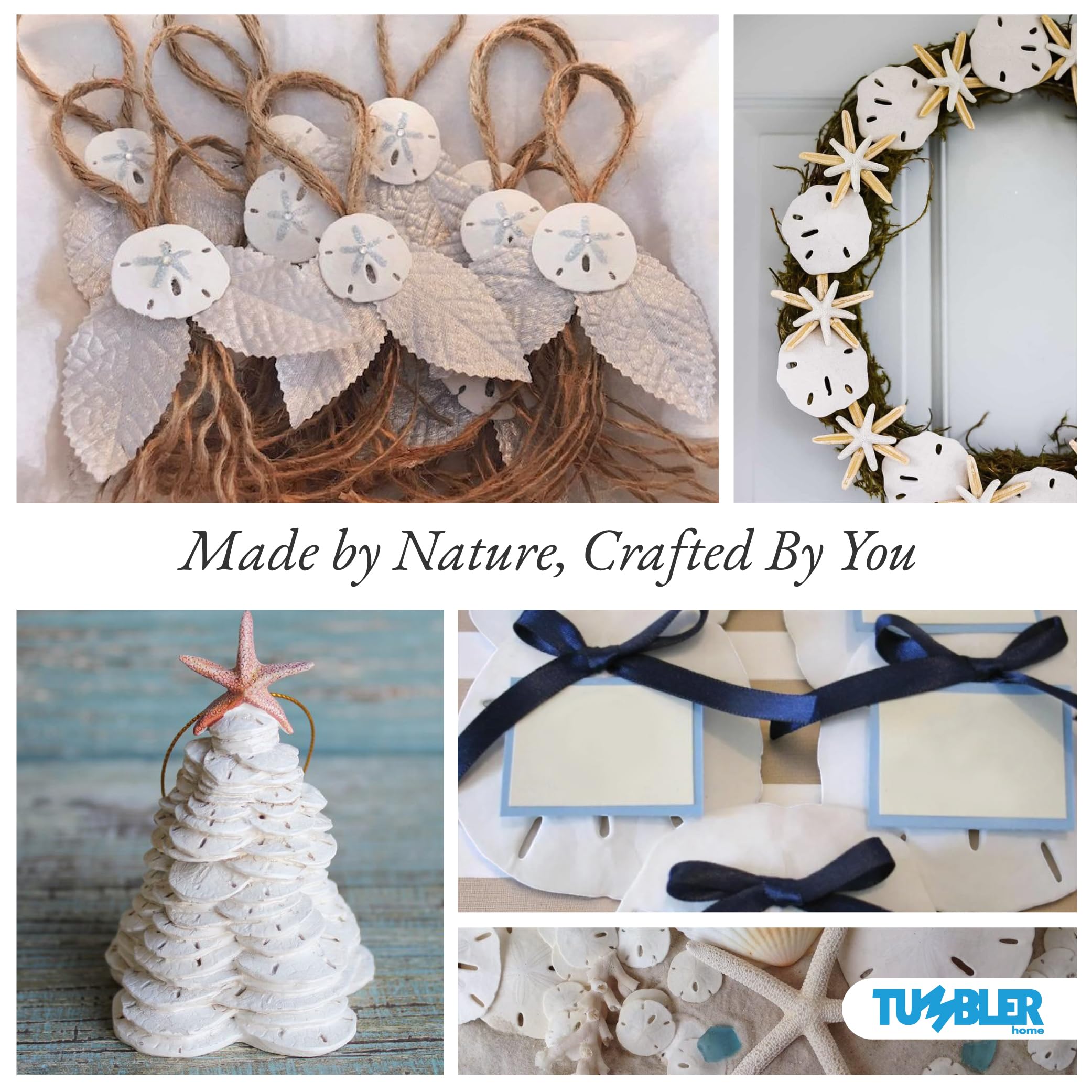 Tumbler Home wedding decor sand dollars shown as elegant accents.