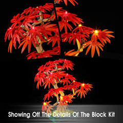 Tusedna LED keeps wiring discreet, preserving the bonsai clean look.