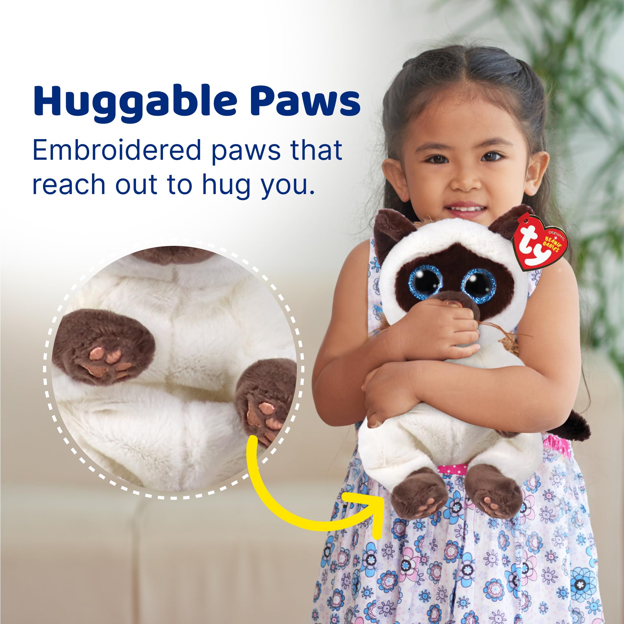 TY Miso cat plush featuring June 1 birthday detail in the tag.