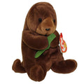 Teeny Ty Seaweed Otter Beanie Baby plush cuddle buddy for kids and collectors.