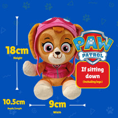 Ty Skye Paw Patrol features a heart-shaped name tag for authenticity.