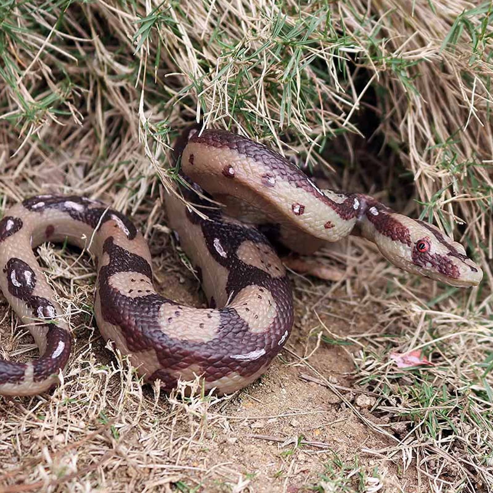 UANDME Halloween prank snake prop adds spooky flair to parties.