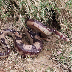 UANDME Halloween prank snake prop adds spooky flair to parties.