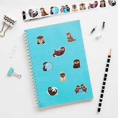 Ukudol otter stickers on skateboards for durable playful style
