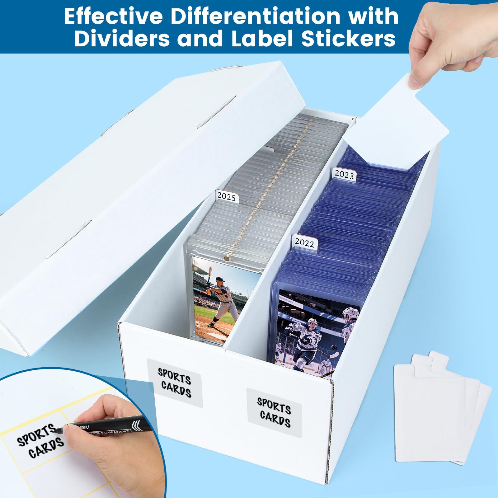 ULTRGEE dividers create two compartments for tidy classified storage