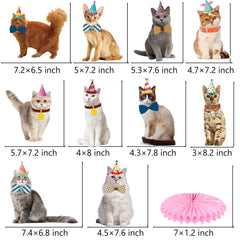 umoni cat honeycomb centerpiece vibrant hues for dessert table