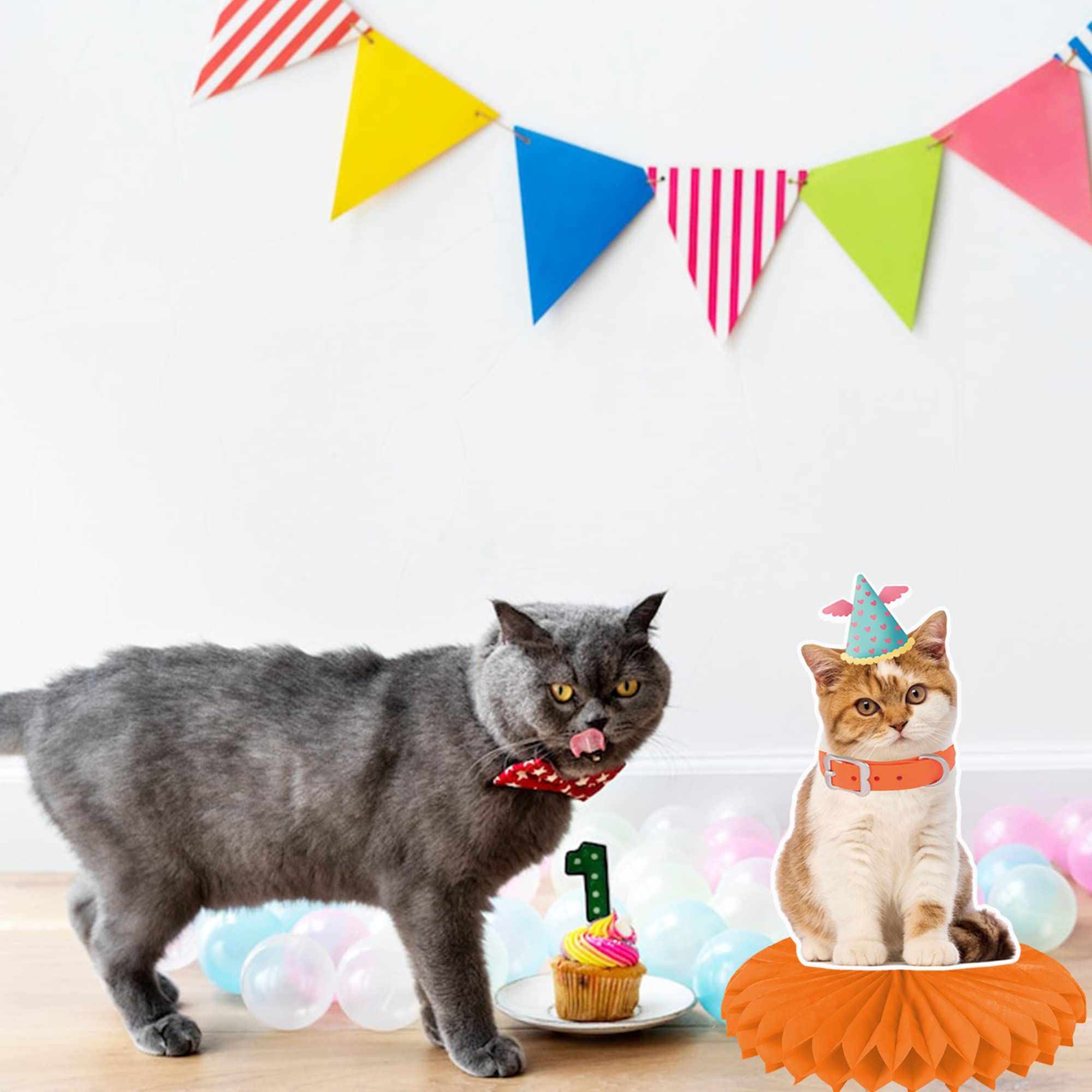 umoni cat honeycomb centerpiece playful accent for photos