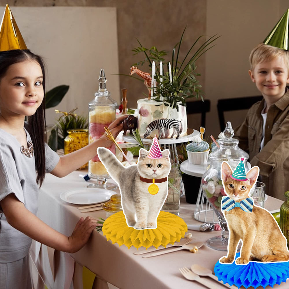 umoni cat honeycomb centerpiece complements cake smash moments
