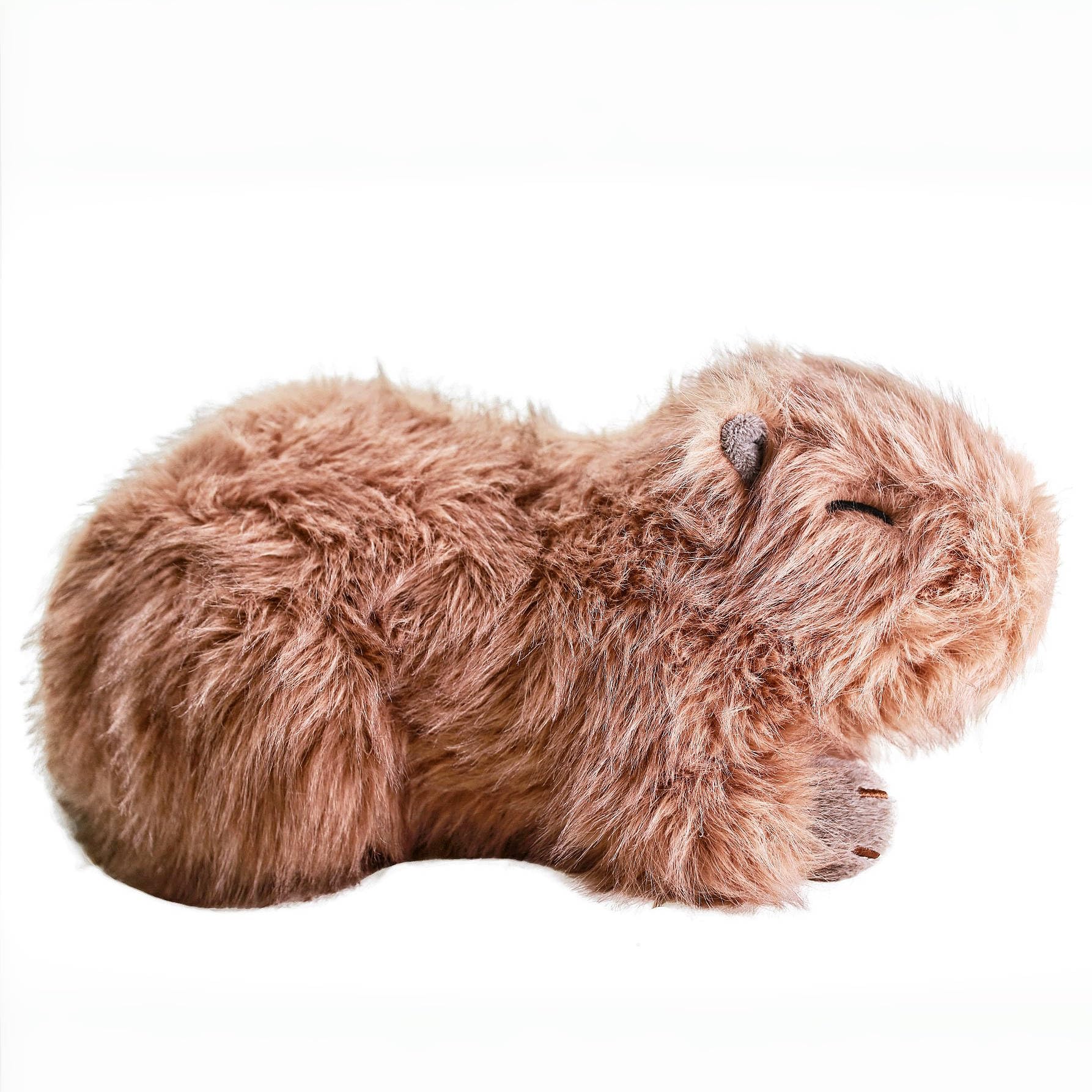 The cuddly uoozii capybara resting for a cozy nap