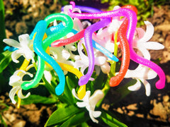 UpBrands Stretchy Snakes classroom prizes for rewards and incentives