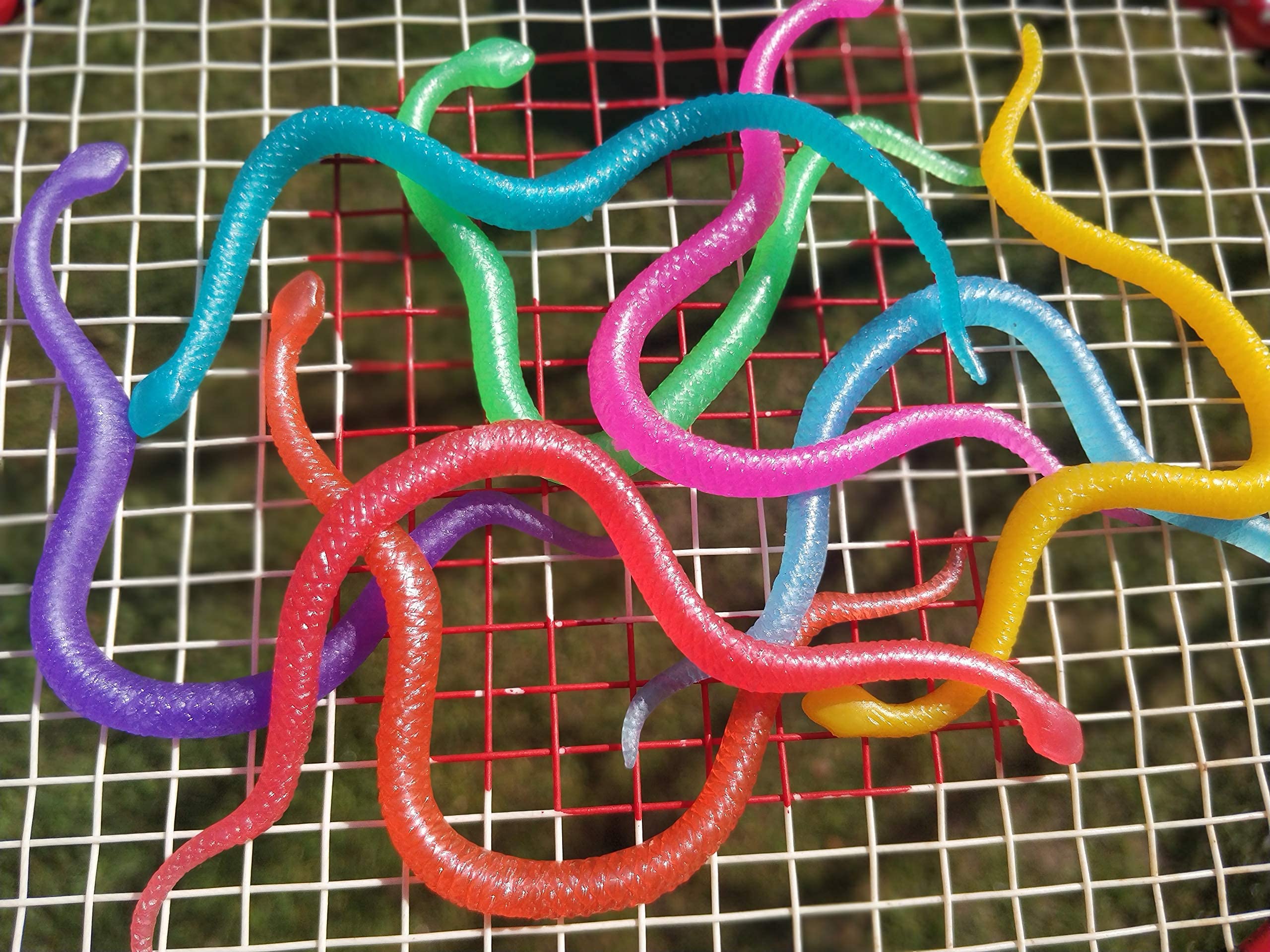 UpBrands Stretchy Snakes Valentine exchange gifts with playful twist