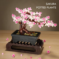 Vamuss cherry blossom tree in living room setting inspires seasonal changes