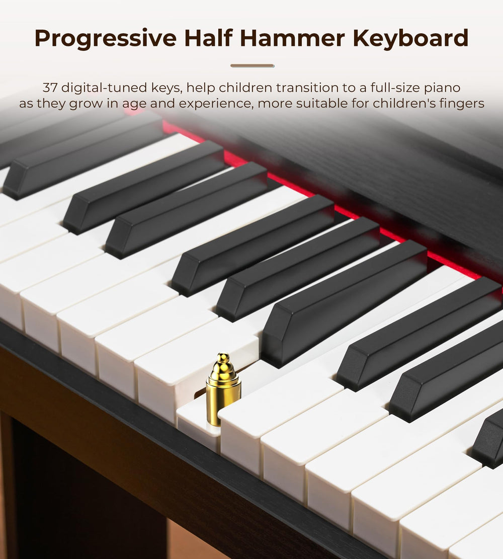 Vangoa English songbook included supports guided music practice.