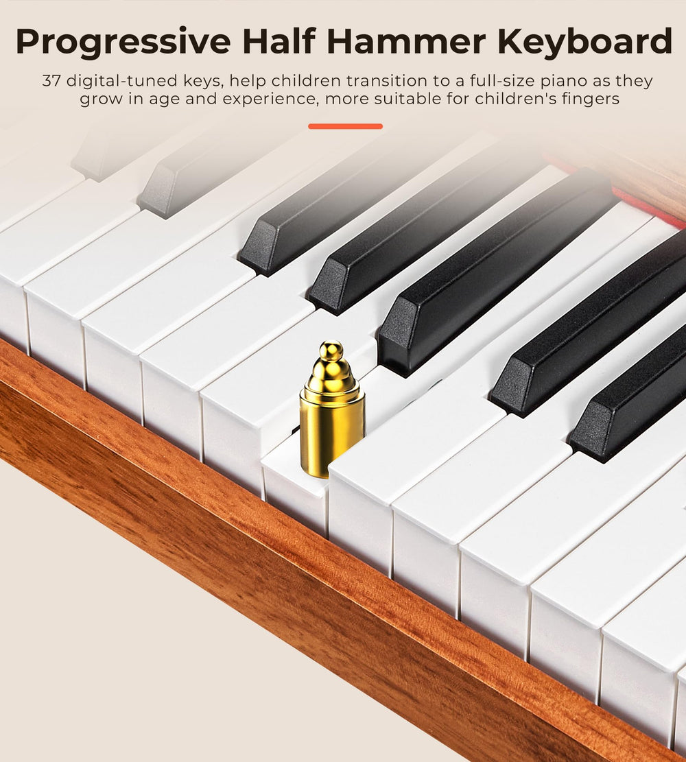 Vangoa illustrated songbook supports easy learning and play ideas.