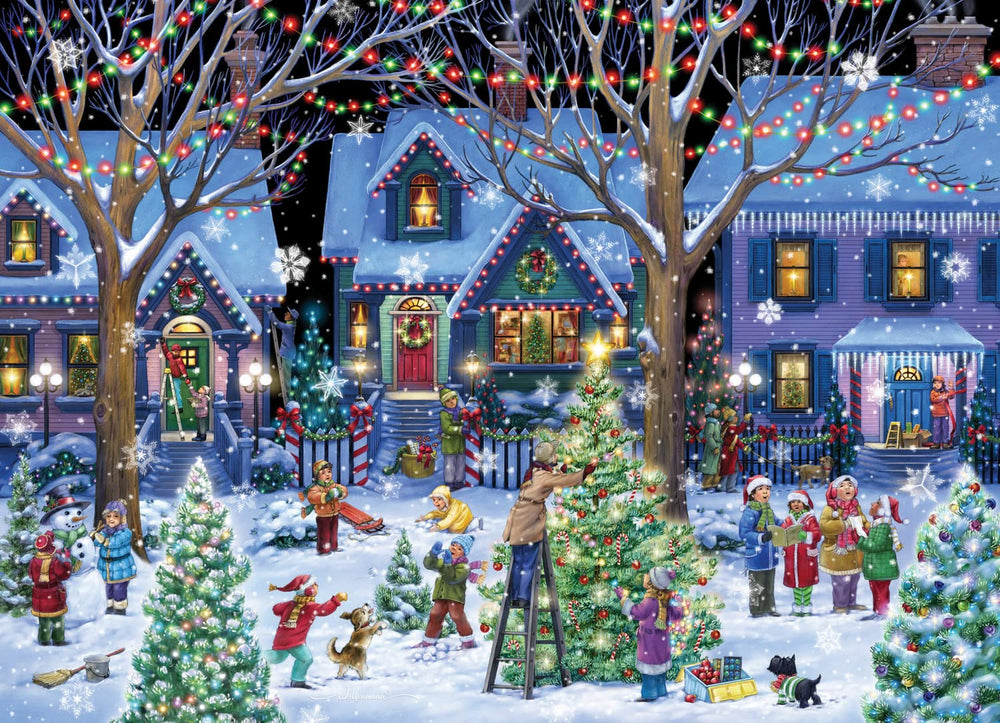 24 numbered boxes with daily puzzle reveals from Vermont Christmas Company.
