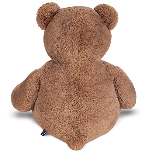 Vermont Teddy Bear gentle eyes and charming smile for friendly companionship.