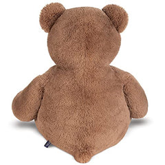 Vermont Teddy Bear gentle eyes and charming smile for friendly companionship.