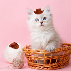 VICROIC brown dollhouse decor hats accentuate tiny rooms with subtle Western flair.