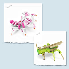 Vilbocr Dragonfly blocks capture delicate wings for expressive play
