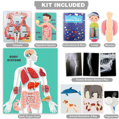 VMNlooking human organ experiments kit with X-ray cards for discovery.