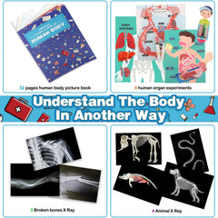 VMNlooking muscles and skeleton figures for practical anatomy practice.
