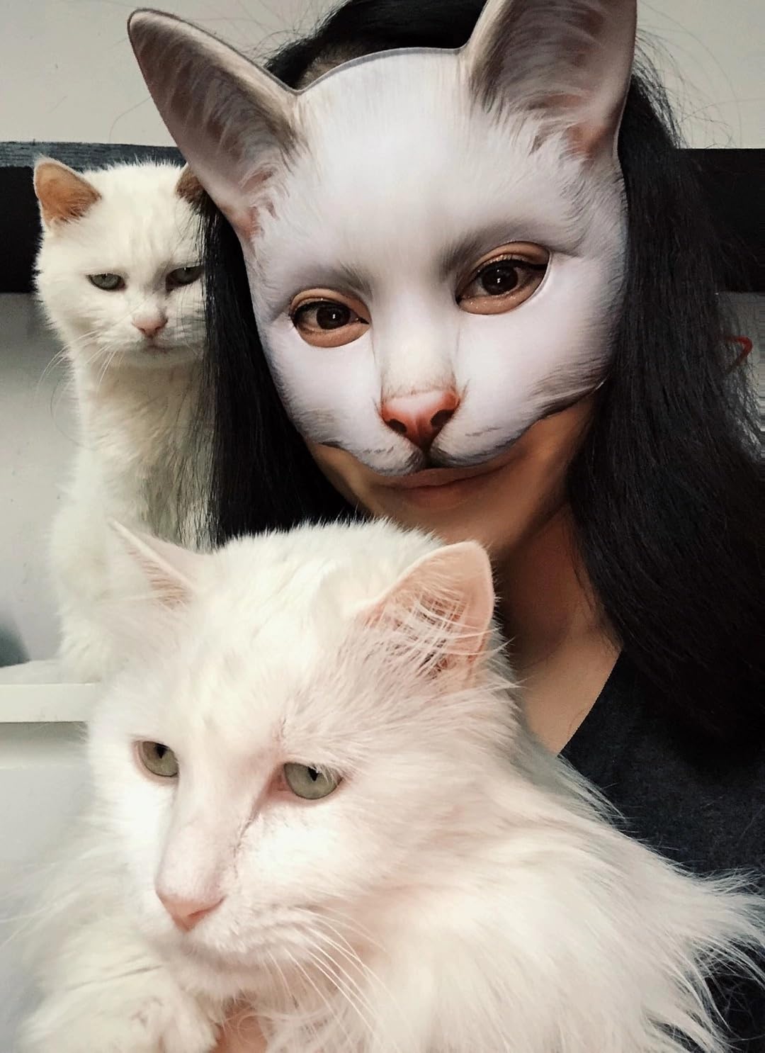Vocoliday cat mask packaging image, ready for gifting or display.