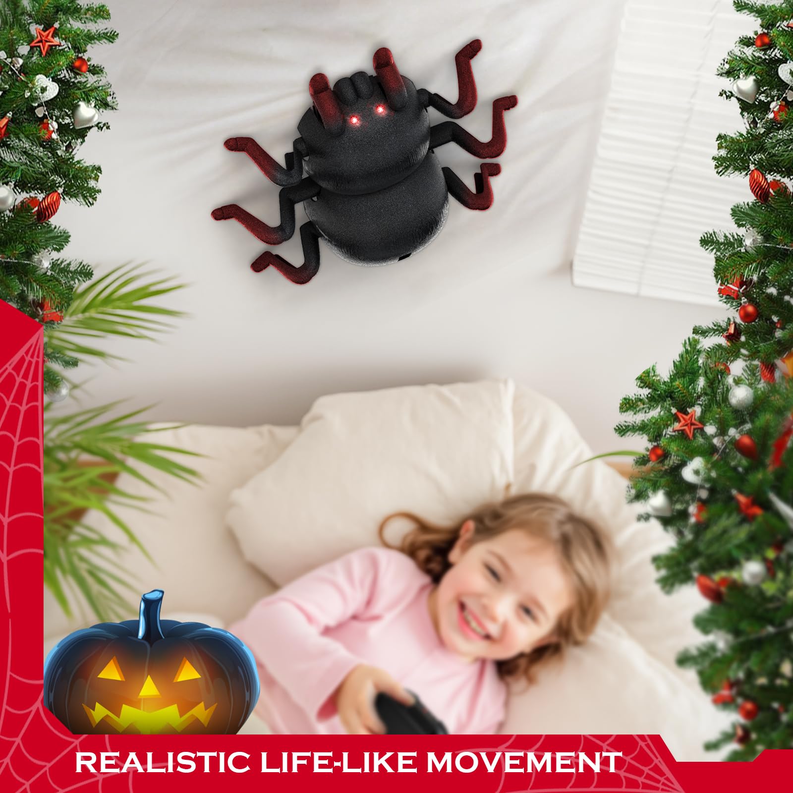 VRG Tarantula gift-ready packaging ideal for birthdays and holidays