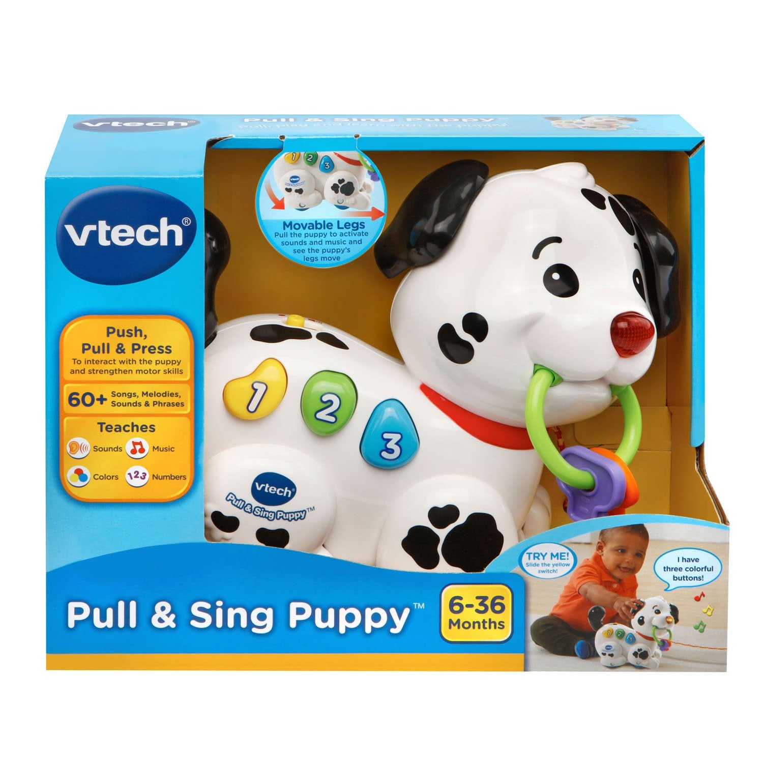 Puppy rolls with music for auditory enjoyment during play