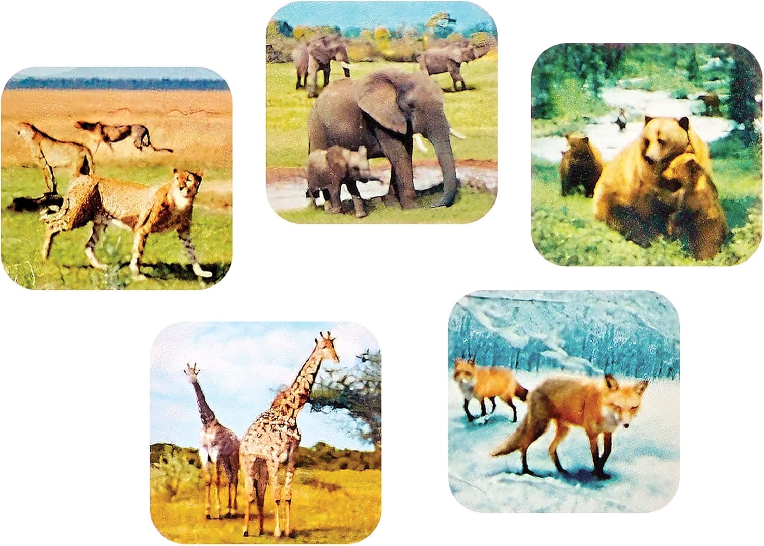 Warm Fuzzy Toys 3D Viewfinder Zoo Animals Scene 2 showcases tactile, immersive animal images for guided discovery.