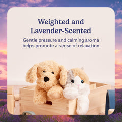 Warmies Golden Dog lavender-scented plush offers gentle aroma for relaxation.