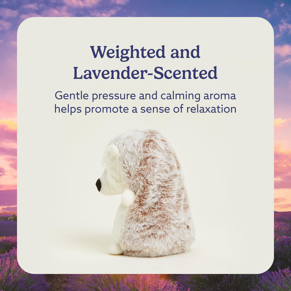 Warmies Hedgehog freezer-chill plush for cooling relief on hot days.