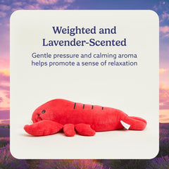Warmies weighted plush close-up showing lavender scent for calm.