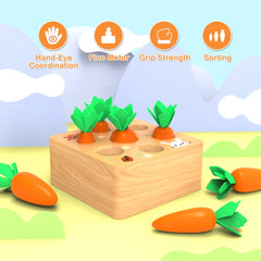 Wdmiya farm-market themed play encourages storytelling and pretend shopping.