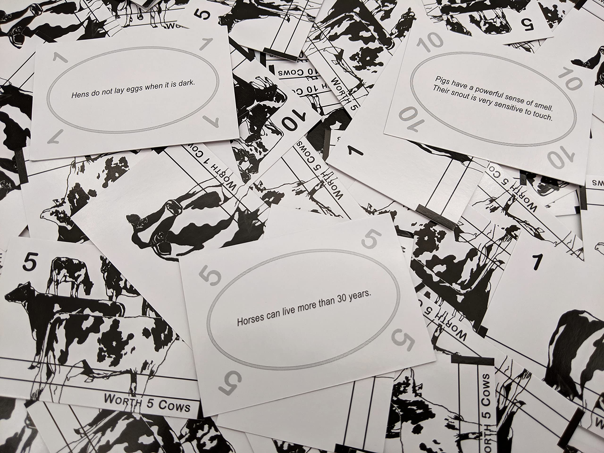 We R Fun Life on the Farm cow cards with fun facts, adding farm-life flavor.