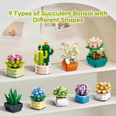 WEMEWEME office desk bonsai decor demonstrates mood-boosting workspace accents