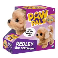 Westminster Redley Retriever walks for interactive indoor play.