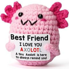 WEYON friendship crochet axolotl full view, a cozy handmade gift