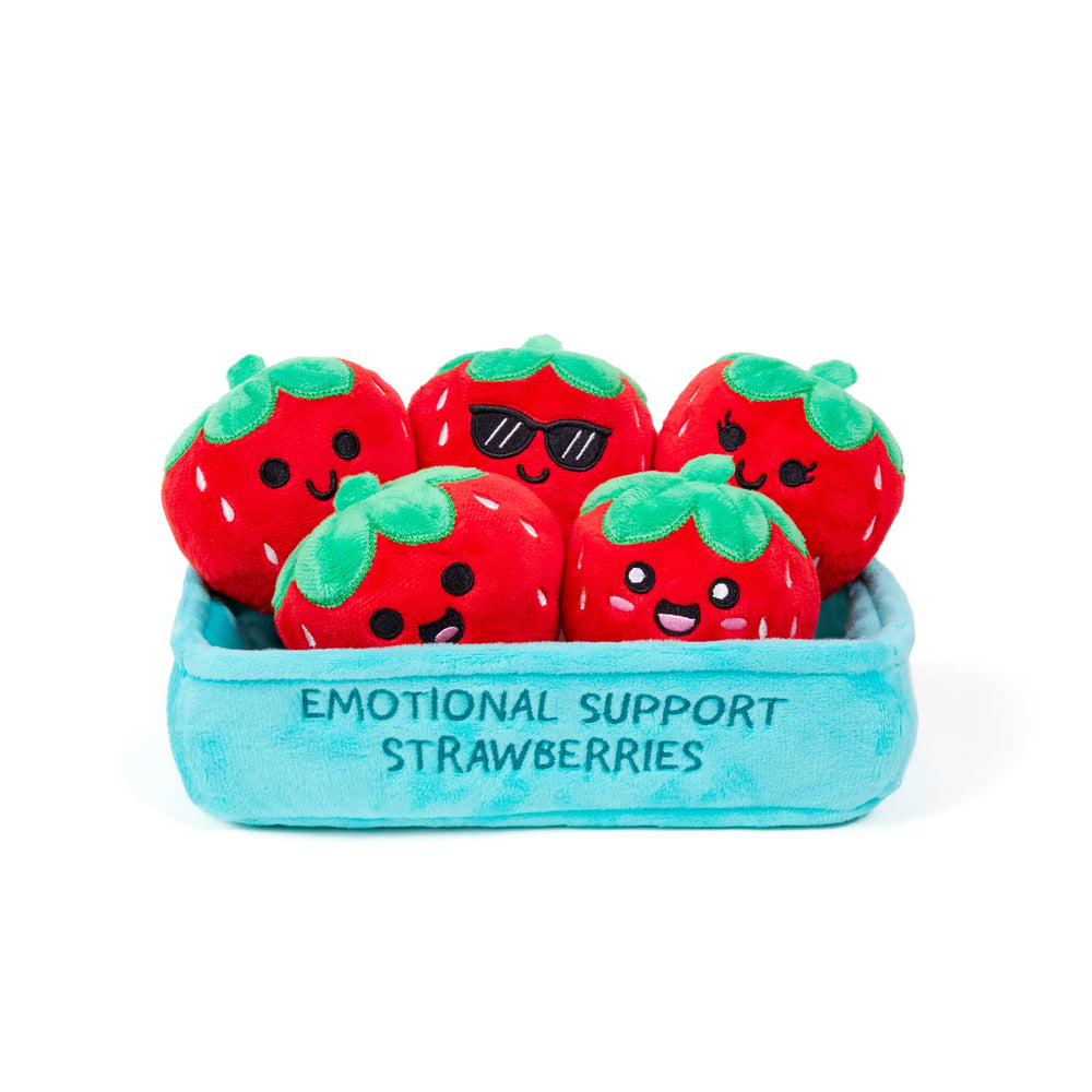 WHAT DO YOU MEME? Emotional Support Strawberries in packaging, a charming gift idea for friends.
