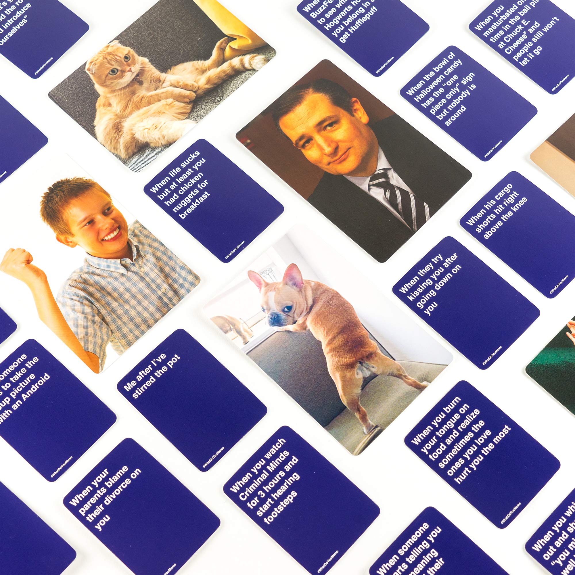 WHAT DO YOU MEME? Fresh Memes Pt. 1 promo banner captures expansion value