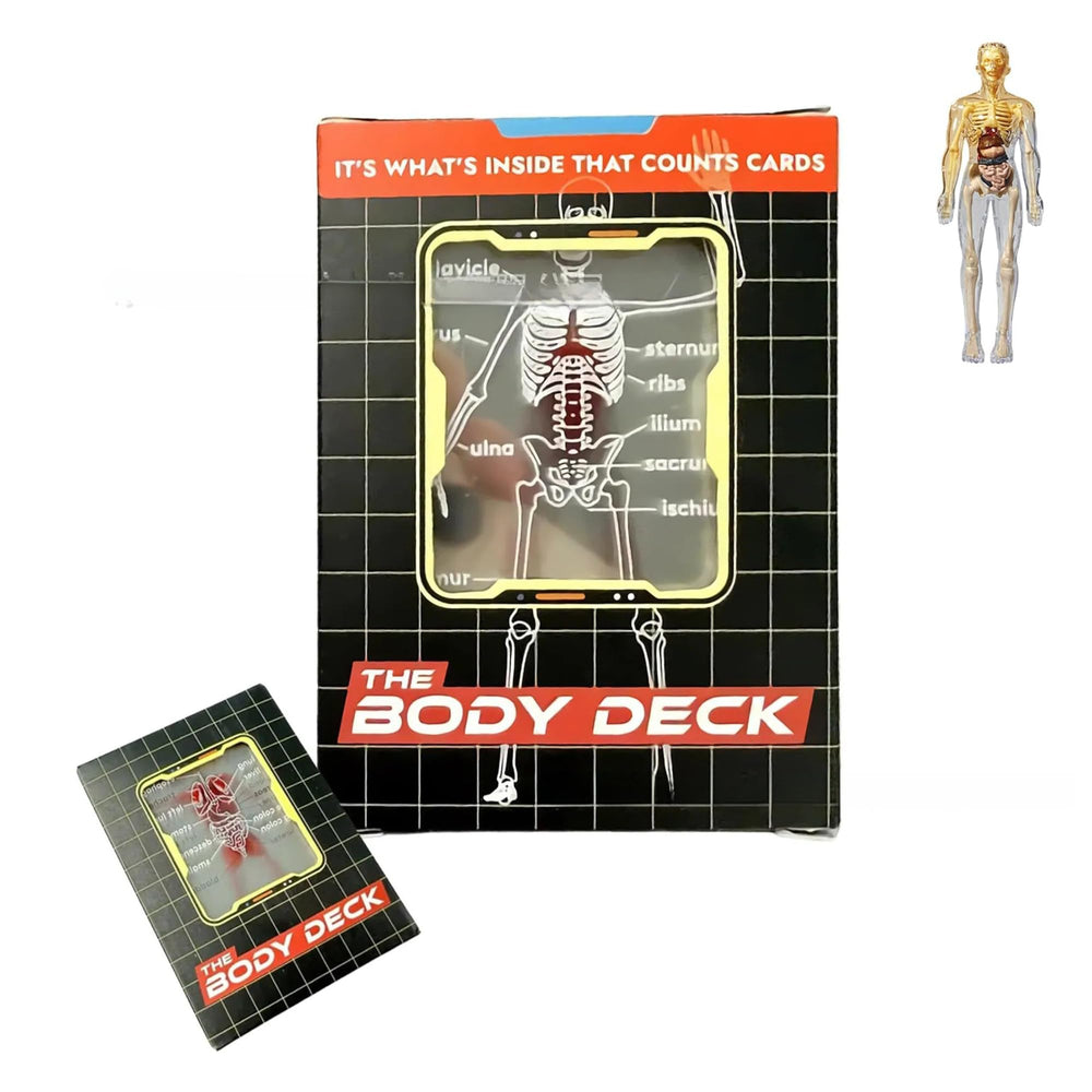 WIizyzfhy The Body Deck 3D skeleton illustration for study and display