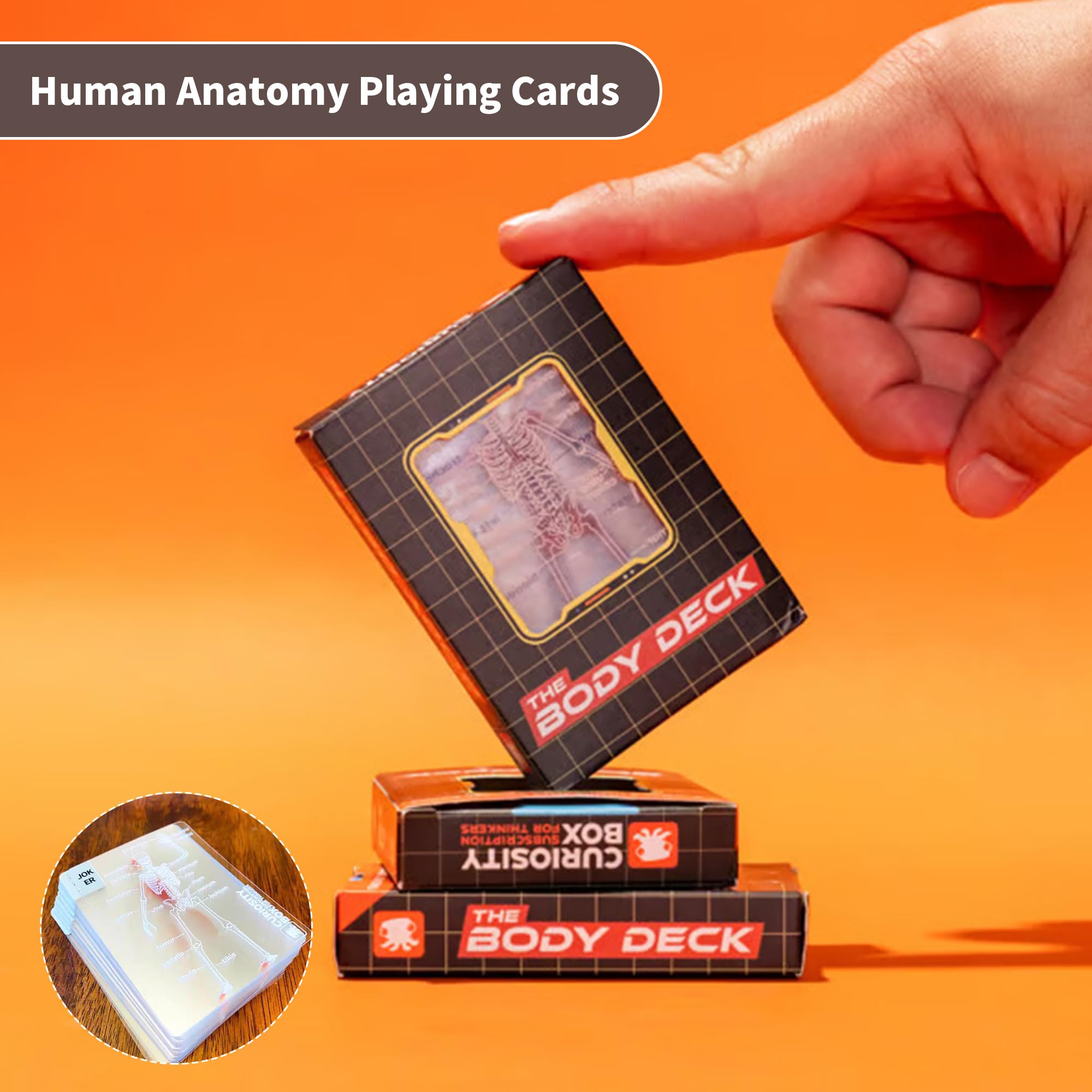 WIizyzfhy The Body Deck transparent card back highlighting clear anatomy visuals