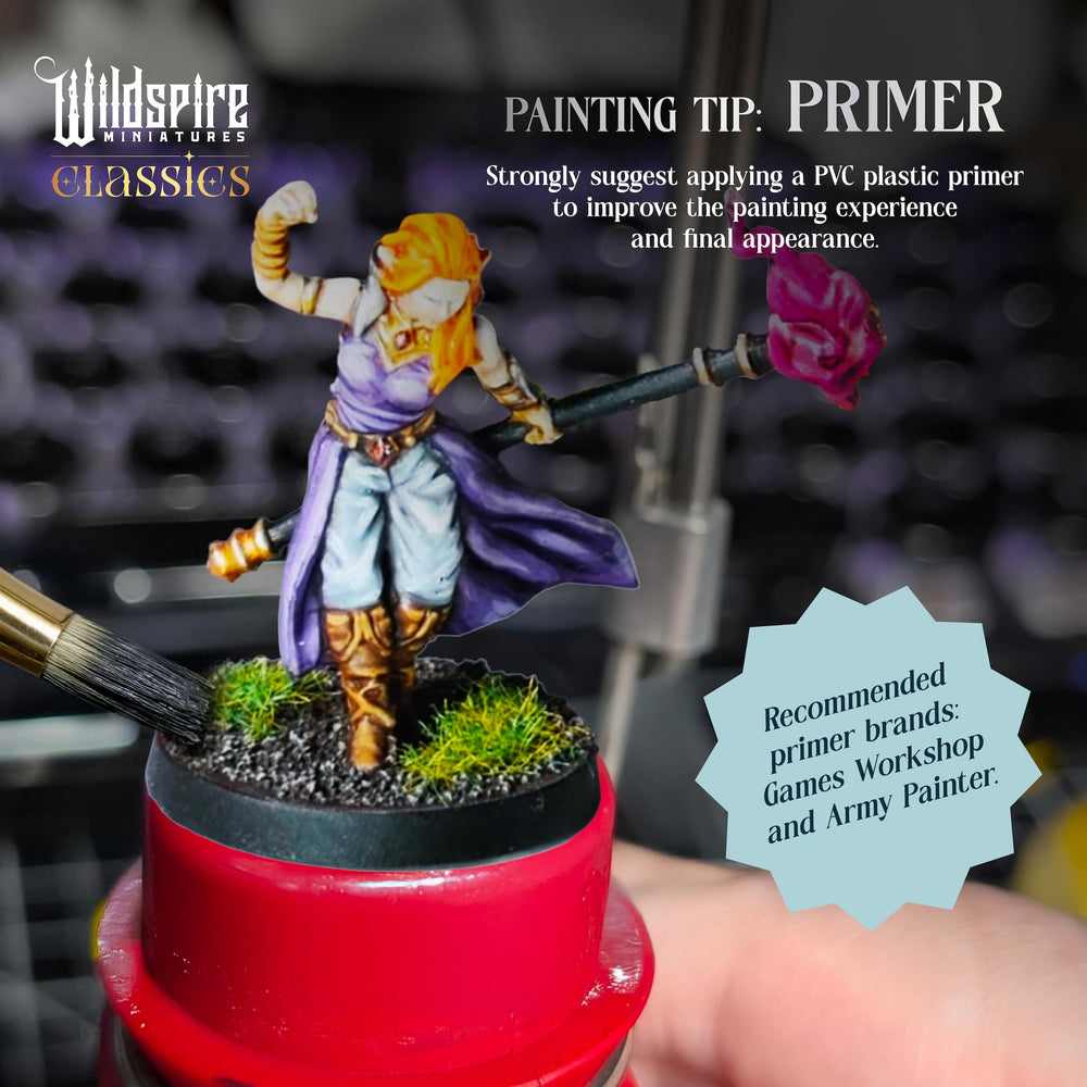 Wildspire Classic Heroes band miniature for painting practice and customization.